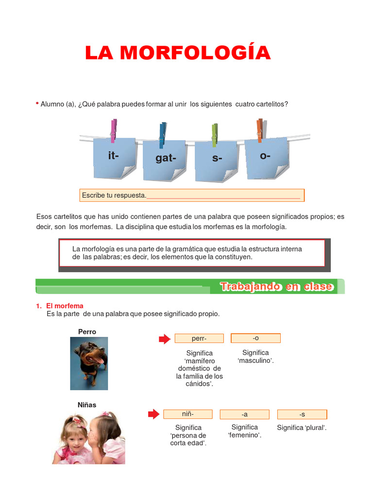 LamorfologíaPrimaria PDF Morfología (Lingüística) Palabra