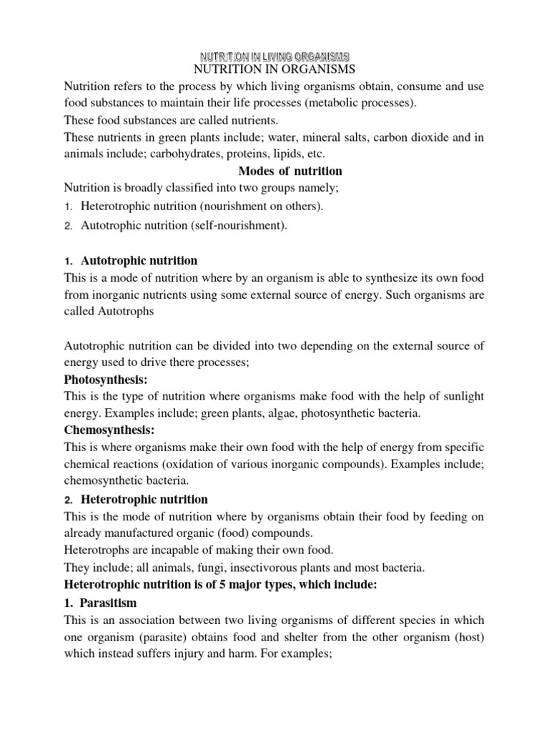 Carbohydrate Digestion and Nutrition | PDF | Digestion | Nutrition