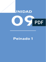 Unidad 9 - Peinado 1