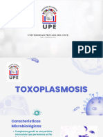 Toxoplasmosis - Micro Practica