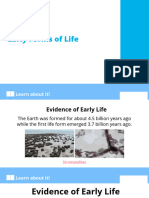 Early Forms of Life