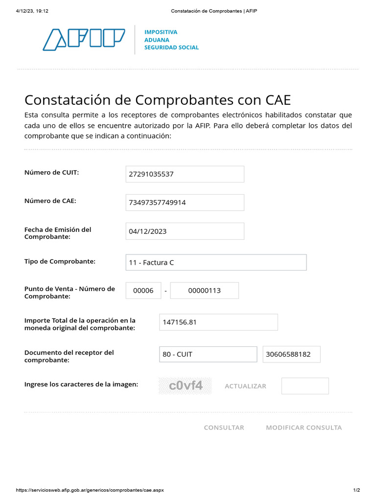 Constatación de Comprobantes CAE AFIP | PDF