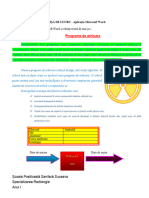 Aplicatia Practica Word Laric Sebastian Vasile