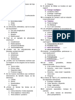 Questões de Anatomia