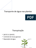 Transporte de Agua - Apresentacao 2