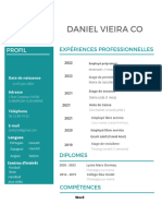 CV de Daniel 1 Vrai