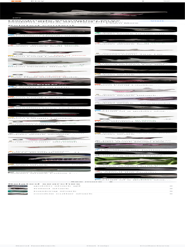 Goblin Shark - Google Search | PDF | Stuffed Toys | Sharks