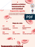 Seminario Vascular