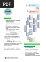 Nervous System 2