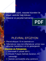 Plevra Hastalıkları (07.12.2023)