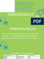 Streptococcus