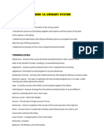 Week 14 Urinary System