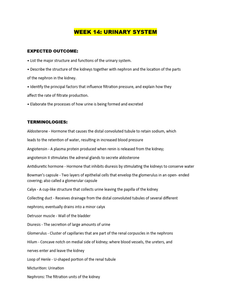 Overview of the Urinary System Functions | PDF | Kidney | Urinary System