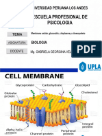 Psicologia 6