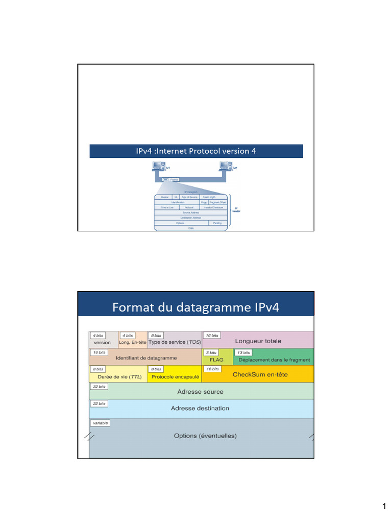 Format du datagramme IPv4 | PDF | Protocoles Internet | Ingénierie ...