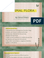 Normal Flora (Venus) - 20231123 - 031434 - 0000