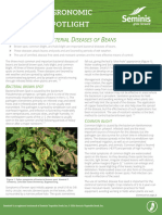 Bacterial Diseases of Beans Seminis