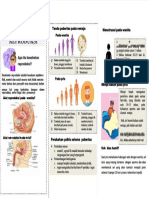 PDF Leaflet Kespro - Compress