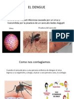 Que Es El Dengue