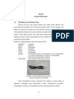 Bab Ii Kajian Pustaka: Persculpta, Filopaludina Crassibucca, Filopaludina Lutulenta Dan Filopaludina Rudipelis