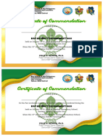 BSP Certificate