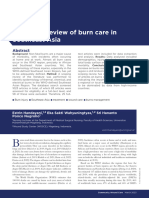 A Scoping Review of Burn Care