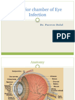 Posterior Chamber of Eye Infection 1
