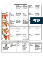 03-Apunts ANATOMIA-Musculs Tronc