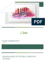 Pathologies of Central Nervous System