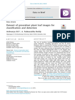 Dataset of Groundnut Plant Leaf Images For Classification and Detection