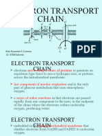 Electron Transport Chain