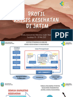 Selayang Pandang Profil Krisis Kesehatan Jatim