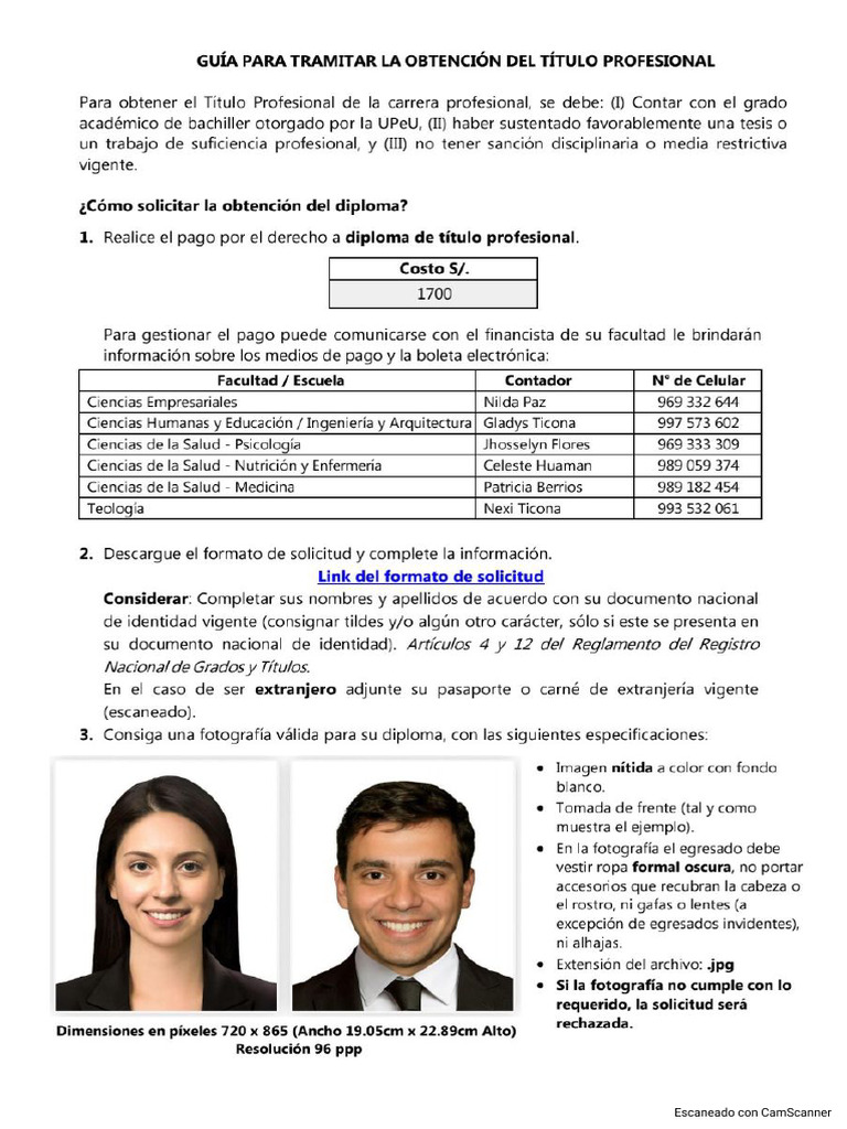 Guía Tramite Título Profesional | PDF