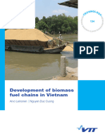 Development of Biomass in Vietnam