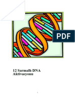 12 Sarmallı DNA Aktivasyonu