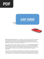 SAP DBM Basics