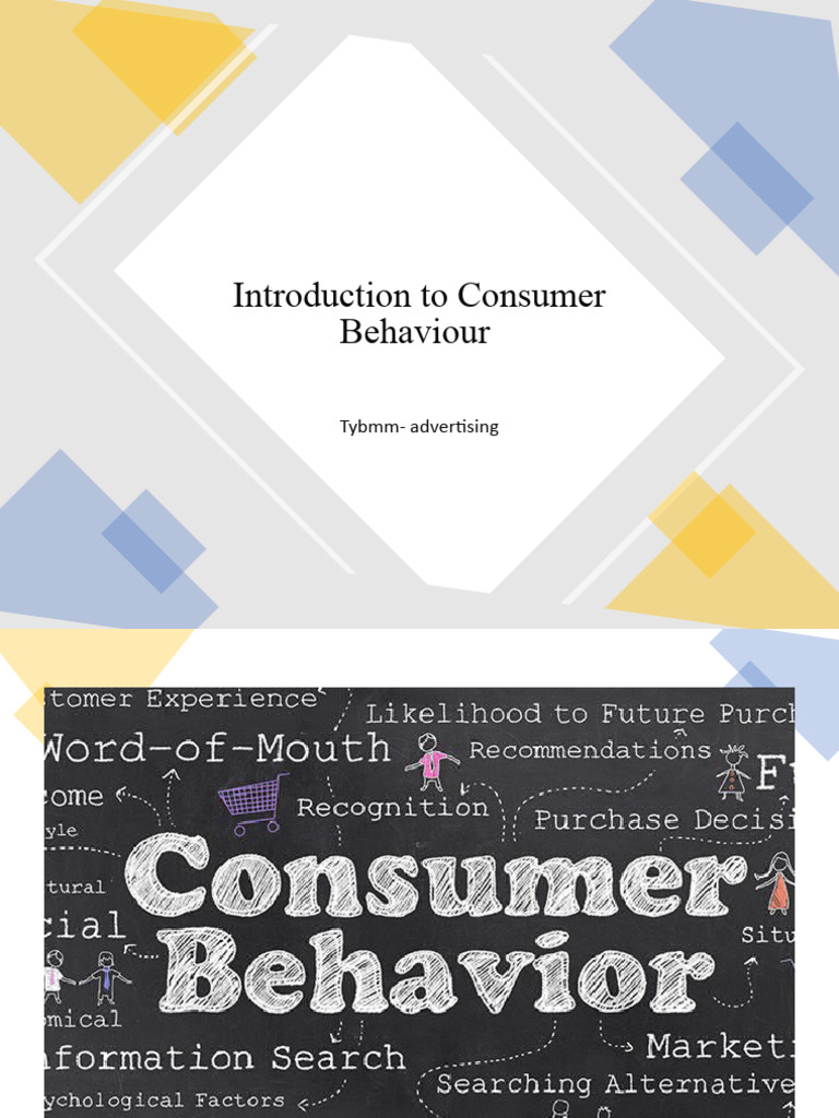 Introduction To Consumer Behaviour 2 | PDF | Consumer Behaviour | Behavior