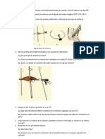 Tarea TPIT UT02