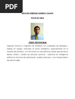 Download Hoja de Vida Nelson e Barros Galvis by Wlmar Rodrguez SN69213308 doc pdf