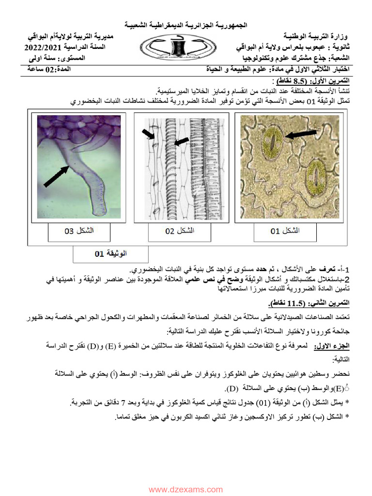 Dzexams 1as Sciences 2208839 PDF