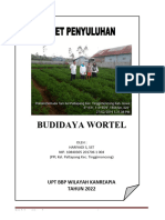 04 Bukleet Budidaya Tanaman Wortel Di Kelurahan Pattapang Kecamatan Tinggimoncong