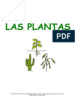 Lasplantas 120408163525 Phpapp01