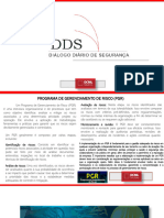 DDS - Programa de Gerenciamento de Risco (PGR)