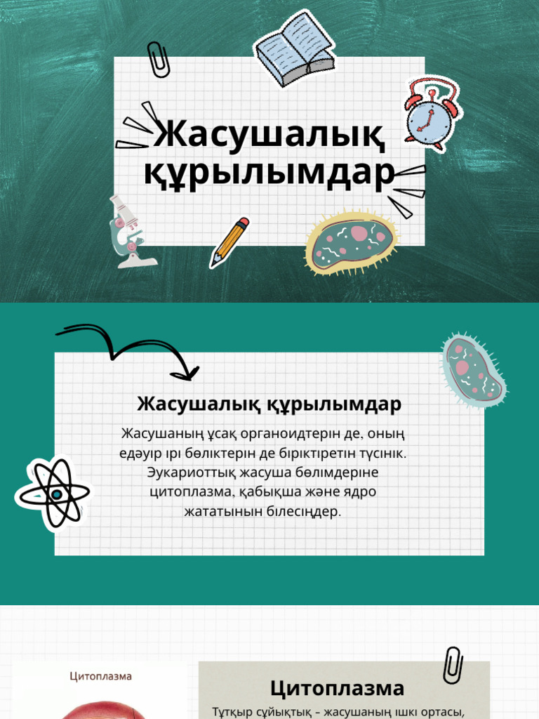 Жас қыз жопқа сиғуды сұрайды