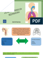 Zonadetransicinrespiratoria 151125004608 Lva1 App6892