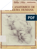 Anatomia Daimon - Dibujo Anatomico de La Figura Humana - LAB OCR