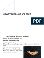 Sericulture, Silkworm Diseases and Pests