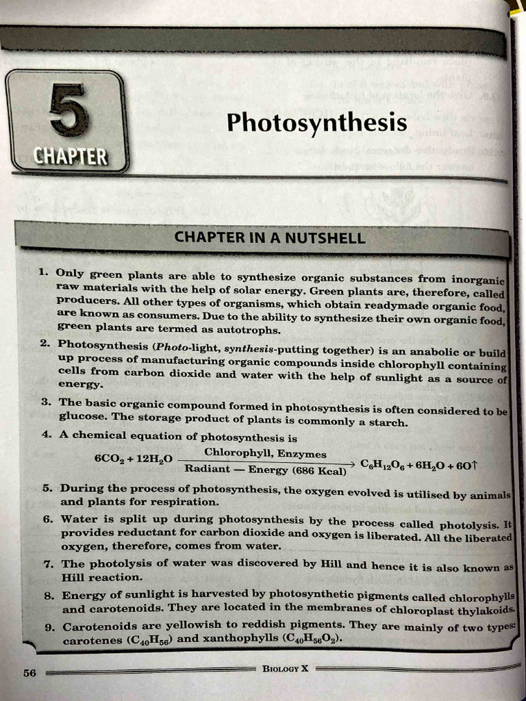 Photosynthesis for 2024 PDF