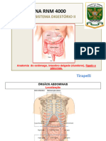 Anatomia Da Sistema Digestório Ii 2017