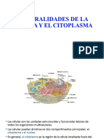 3 - Citoplasma y Nucleo